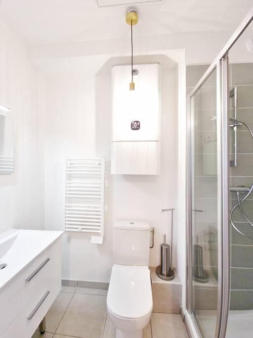 Apartmán Studio Calme Et Lumineux - Ascenceur - Gare -Metro Toulouse Exteriér fotografie